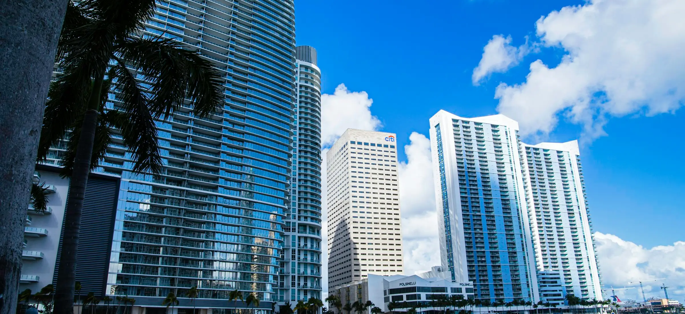 Downtown Miami towers and palm trees under a blue sky